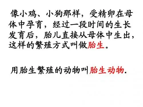 动物的繁殖活动
