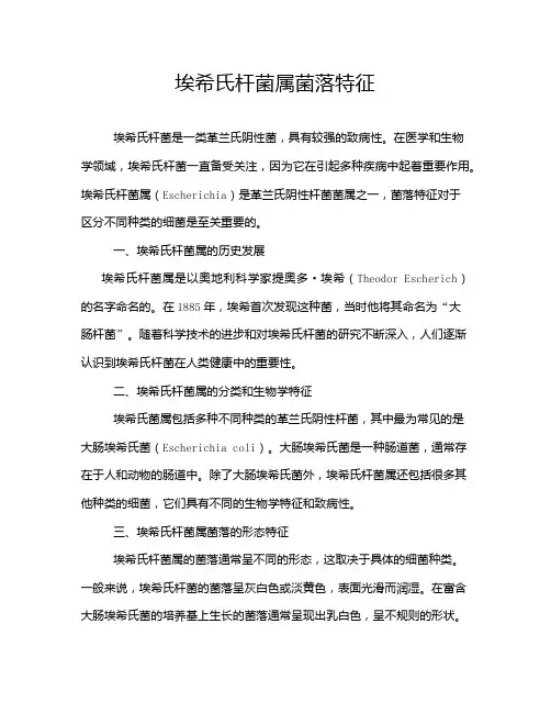 埃希氏杆菌属菌落特征