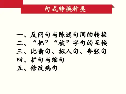 六年级句型转换专项练习ppt课件