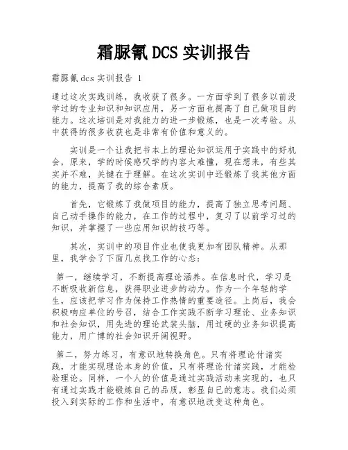 霜脲氰DCS实训报告