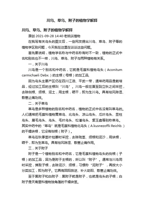 川乌、草乌、附子的植物学解释