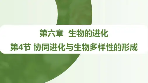 协同进化与生物多样性的形成课件高一下学期生物人教版必修2