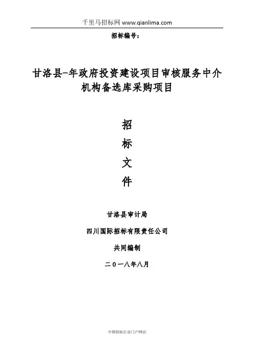 审计局政府投资建设招投标书范本