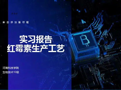 红霉素的制备工艺