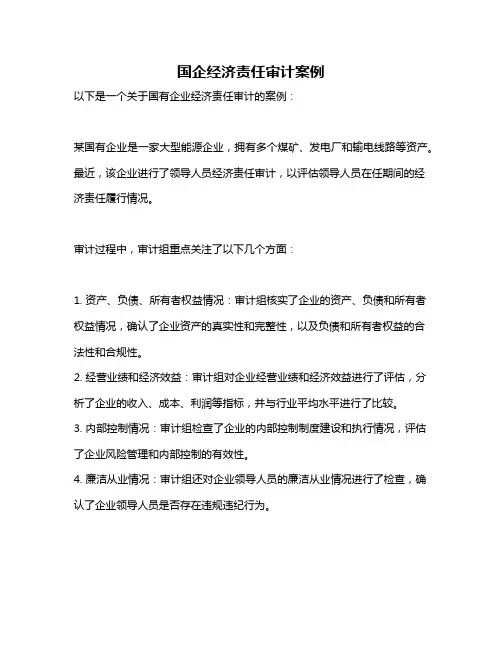 国企经济责任审计案例