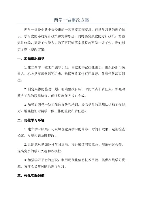 两学一做整改方案