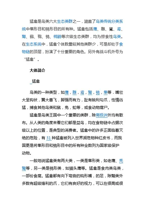猛禽是鸟类六大生态类群之一