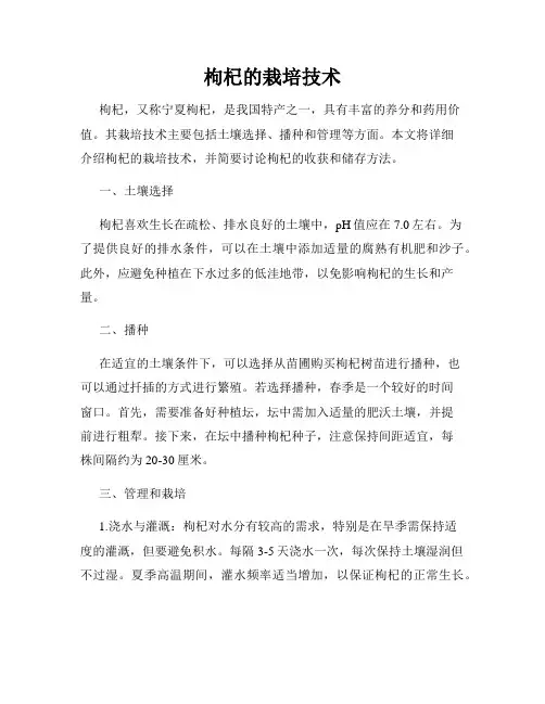 枸杞的栽培技术
