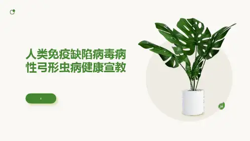 人类免疫缺陷病毒病性弓形虫病健康宣教