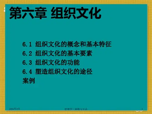 组织文化