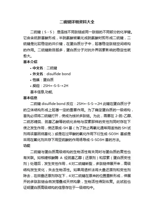 二硫键详细资料大全