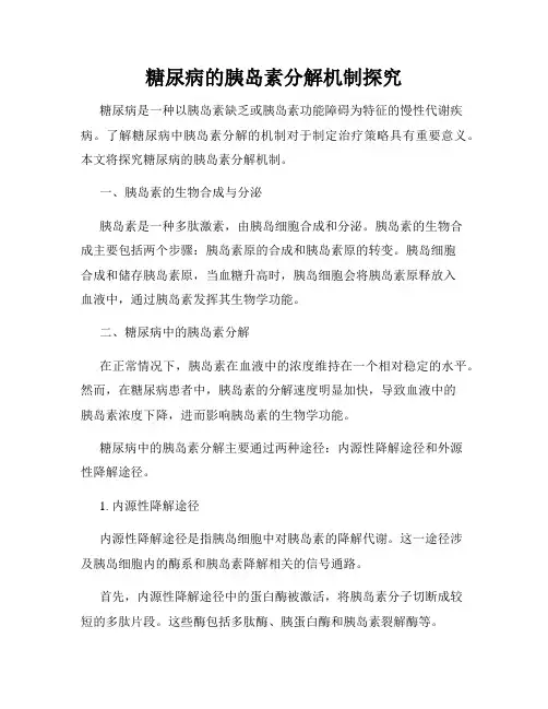 糖尿病的胰岛素分解机制探究