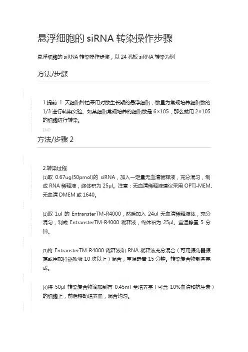 siRNA细胞培养步骤
