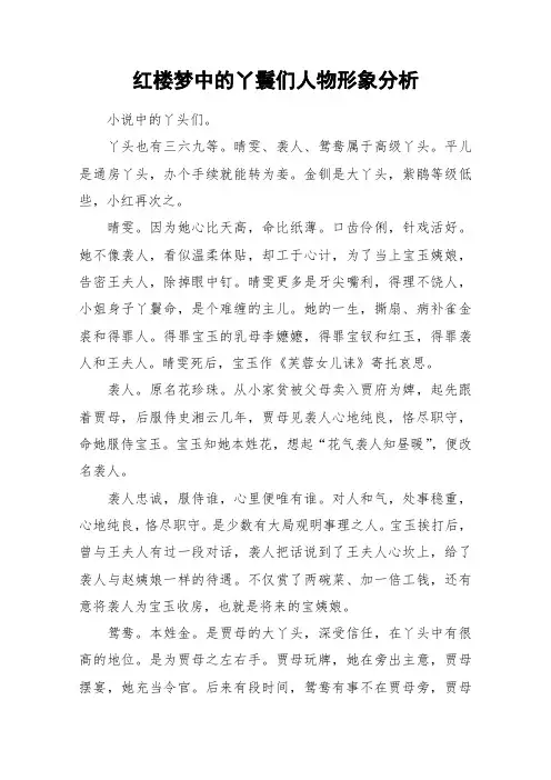 红楼梦中的丫鬟们人物形象分析_作文