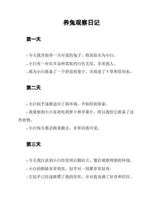 养兔观察日记