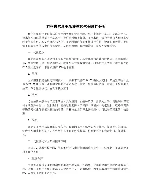 和林格尔县玉米种植的气候条件分析