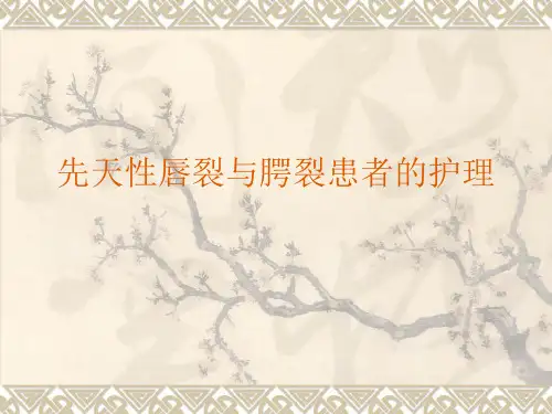 唇腭裂的护理