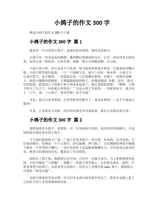 小鸽子的作文300字