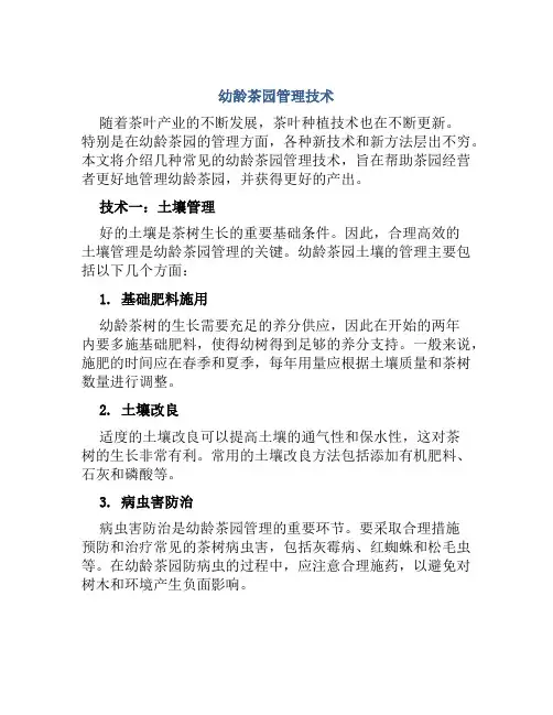 幼龄茶园管理技术