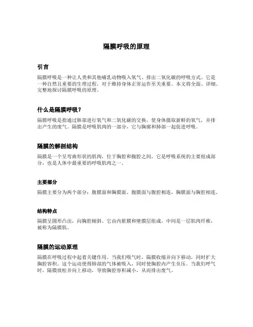 隔膜呼吸的原理