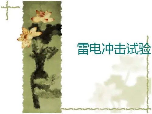 雷电冲击试验讲义
