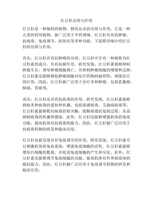 红豆杉功效与作用