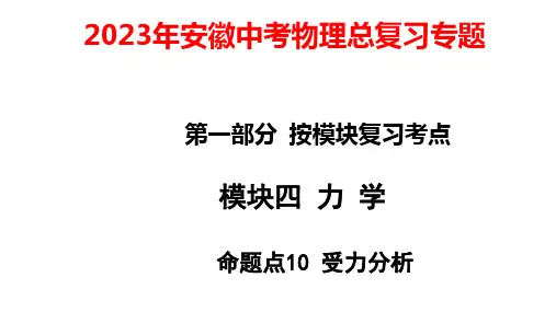 2023年安徽中考物理总复习专题：受力分析