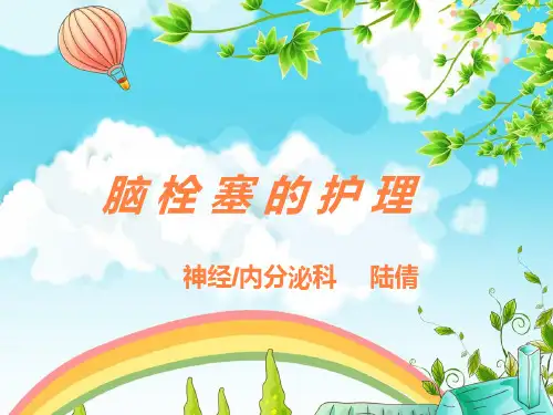 脑栓塞的护理ppt课件