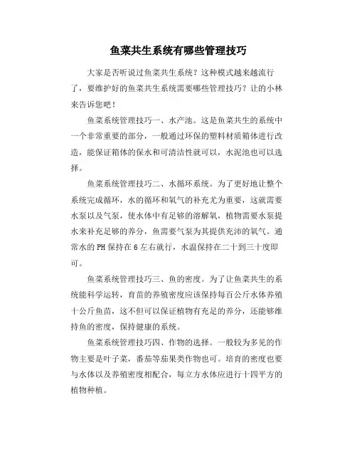 鱼菜共生系统有哪些管理技巧