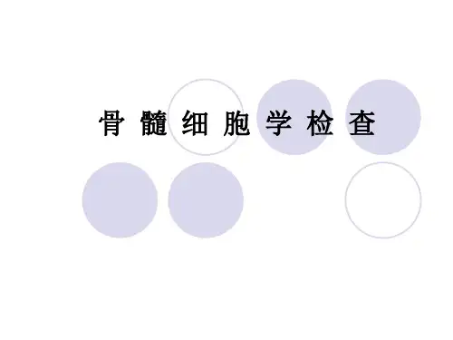 临床本科  骨髓细胞学检查