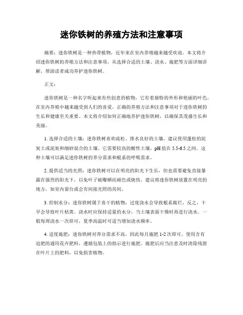 迷你铁树的养殖方法和注意事项