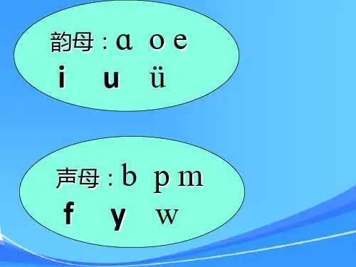 部编版汉语拼音-dtnl教学课件