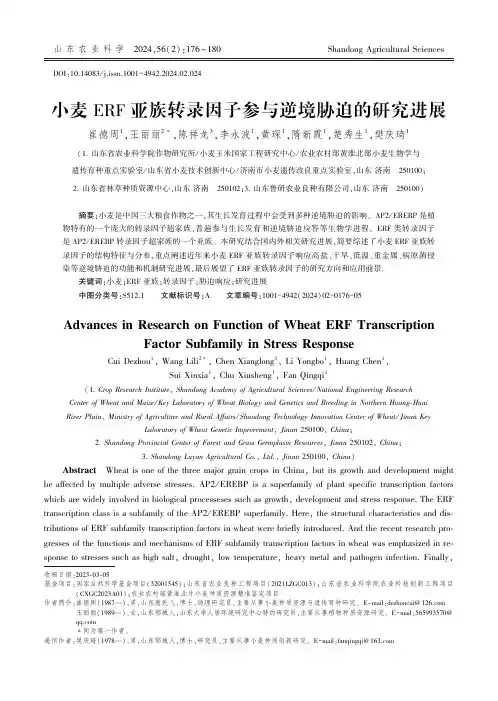 小麦ERF_亚族转录因子参与逆境胁迫的研究进展