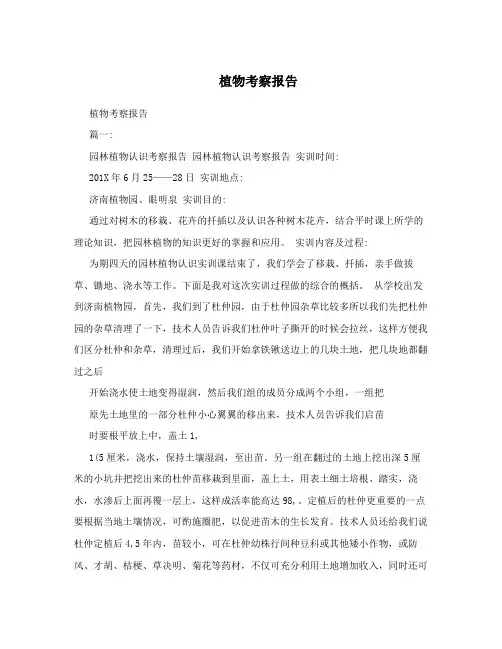 植物考察报告