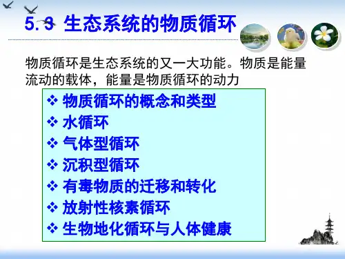 生态系统生态学物质循环PPT课件