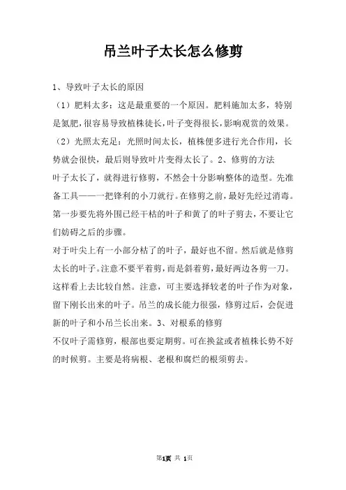 吊兰叶子太长怎么修剪 
