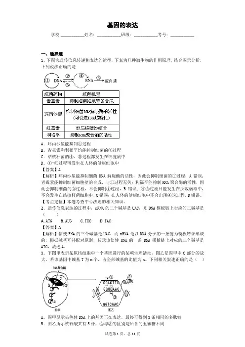 人教版 基因的表达 单元测试