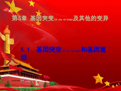 高中生物 第五章 基因突变及其他变异 5.1 基因突变与基因重组上课课件 高一生物课件