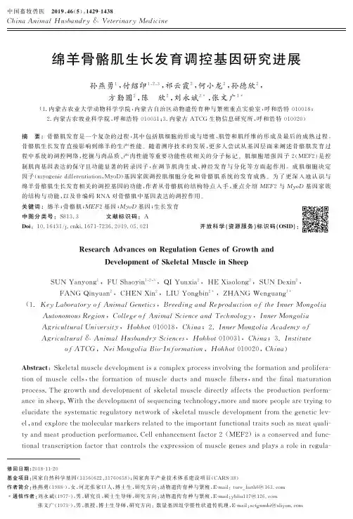 绵羊骨骼肌生长发育调控基因研究进展