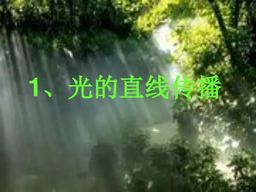 光的直线传播PPT课件