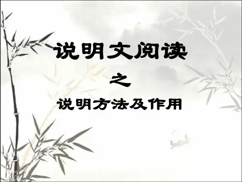说明文阅读之说明方法及作用 PPT