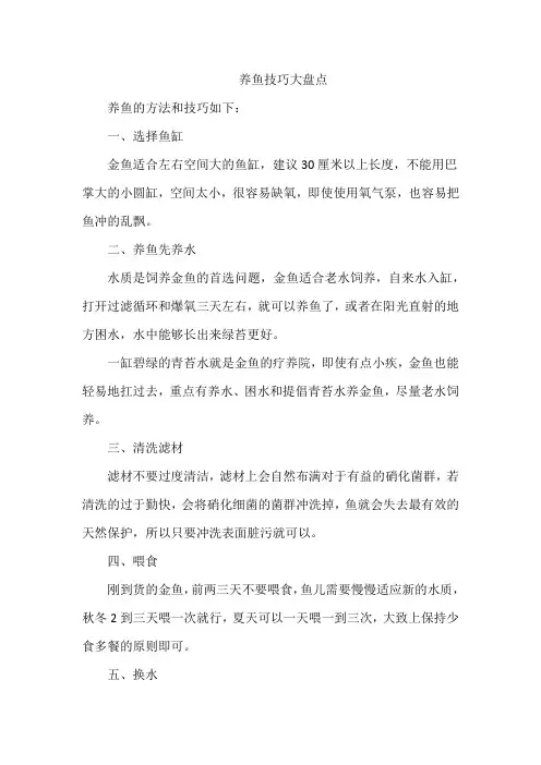 养鱼技巧大盘点