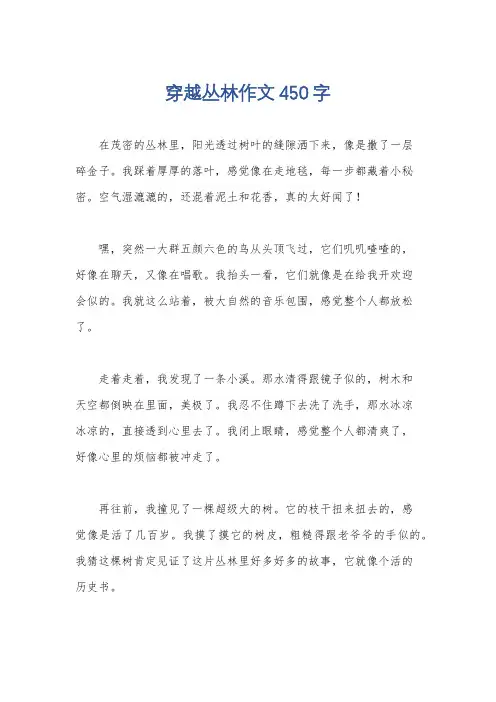 穿越丛林作文450字