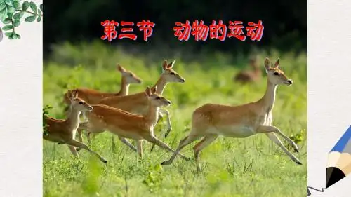 【推荐】精选七年级生物上册2.2.3动物的运动课件2新版济南版