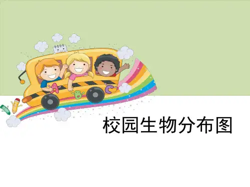 六年级上册科学课件《校园生物分布图》教科版 (共24张PPT)