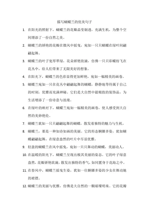 描写蝴蝶兰的优美句子