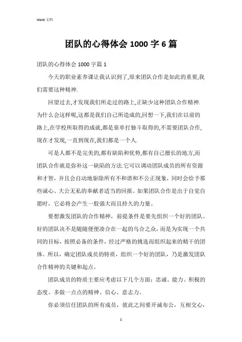团队的心得体会1000字6篇