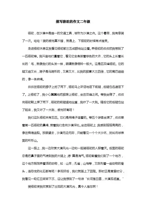 描写骆驼的作文二年级