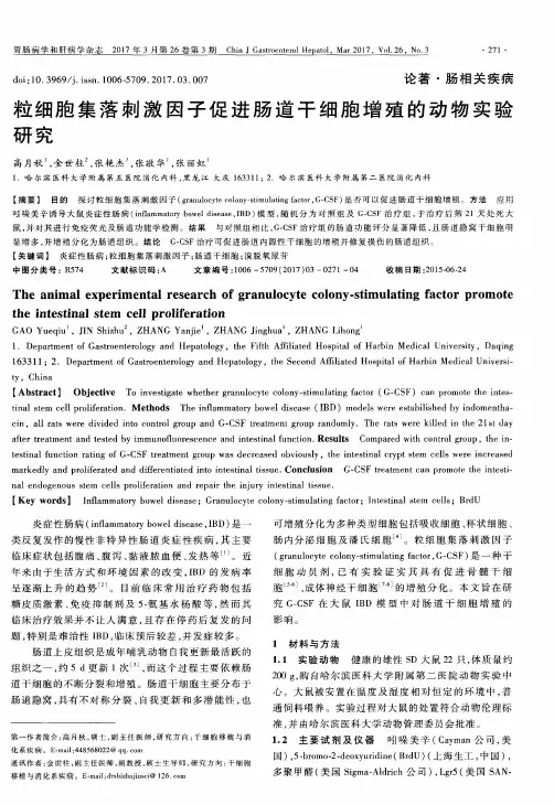 粒细胞集落刺激因子促进肠道干细胞增殖的动物实验研究