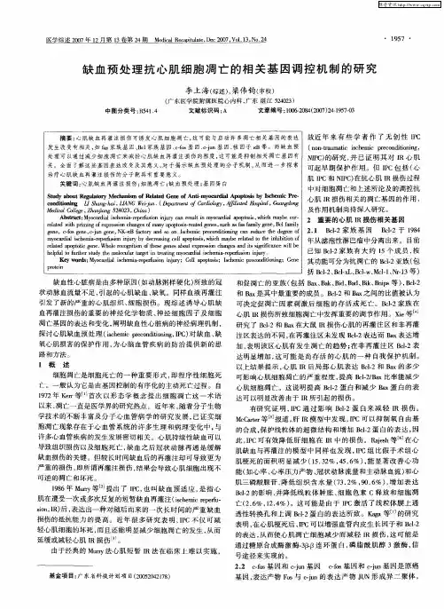 缺血预处理抗心肌细胞凋亡的相关基因调控机制的研究